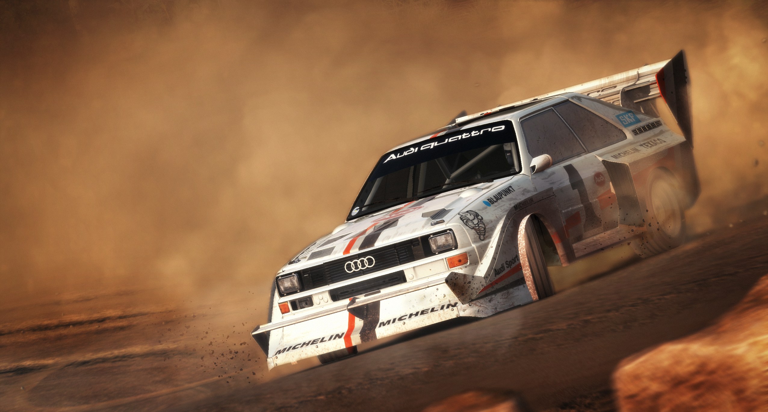 DiRT Rally - Imagen 25